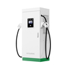 Stazione di ricarica EV commerciale Fast da 80kW DC con pistola singola CCS2 per uso commerciale