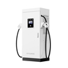Stazione di ricarica EV veloce da 120kW DC con doppia pistola CCS2 e per il progetto commerciale